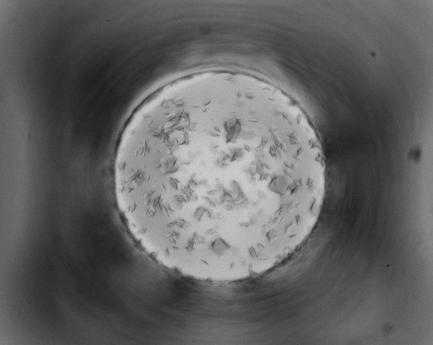 X0000103901534200810311358