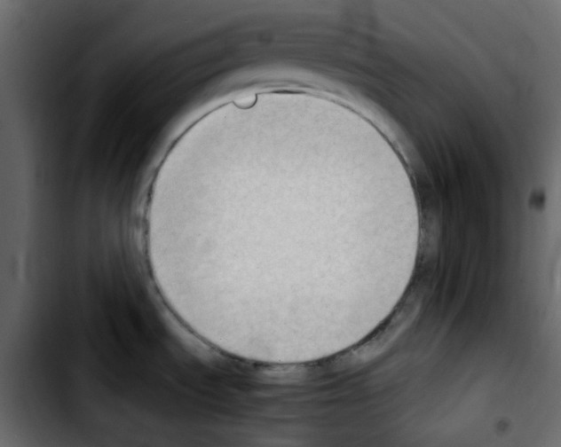 X0000103901535200810311358