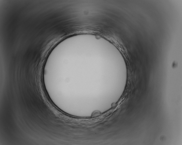 X0000103910001200809191130