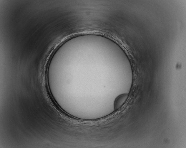 X0000103910002200809191130