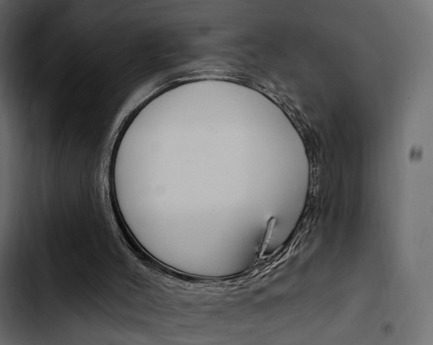 X0000103910004200809191130
