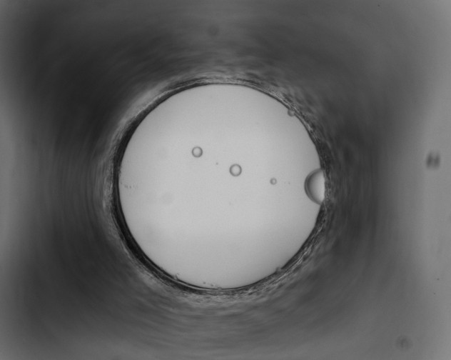 X0000103910005200809191130