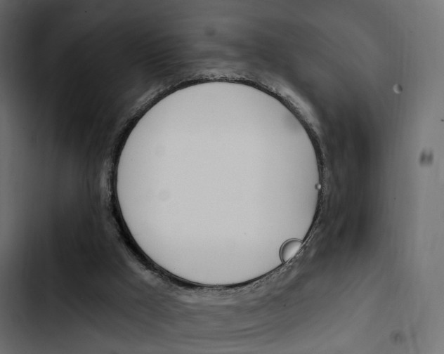 X0000103910009200809191130