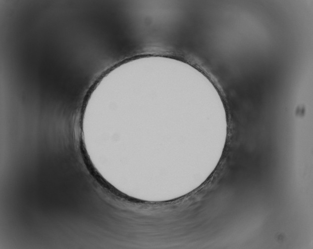 X0000103910011200809191130