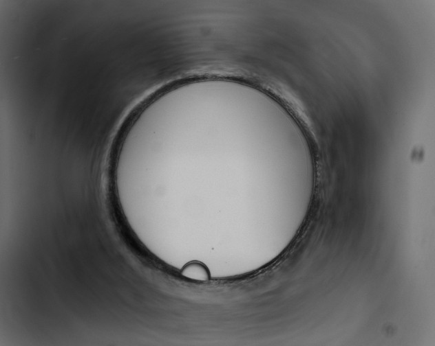 X0000103910012200809191130