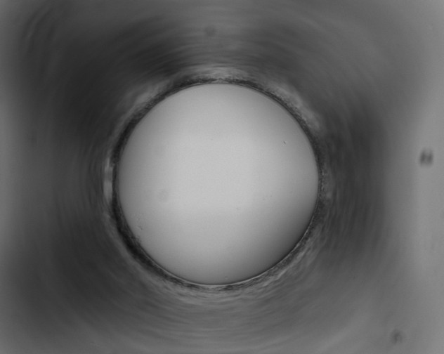 X0000103910014200809191130