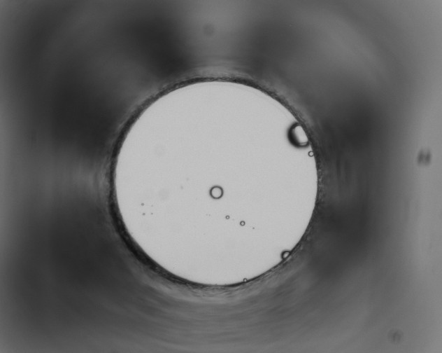 X0000103910015200809191130