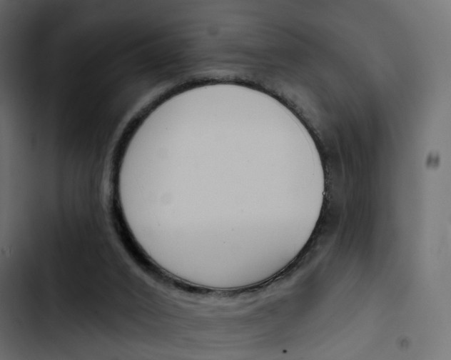 X0000103910016200809191130
