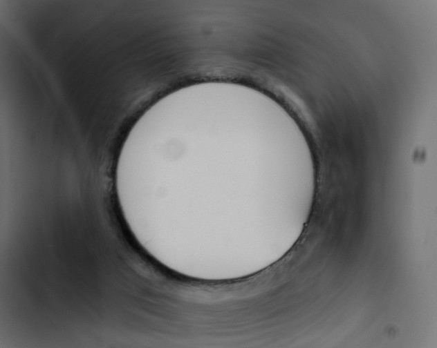 X0000103910017200809191130
