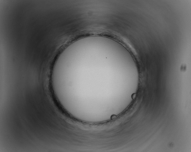 X0000103910018200809191130