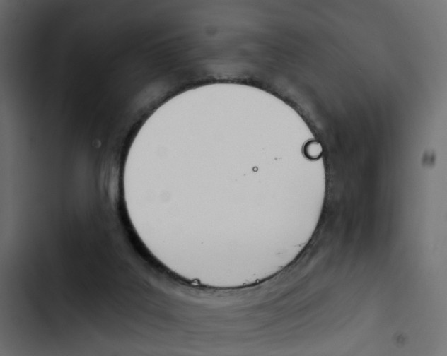 X0000103910019200809191130