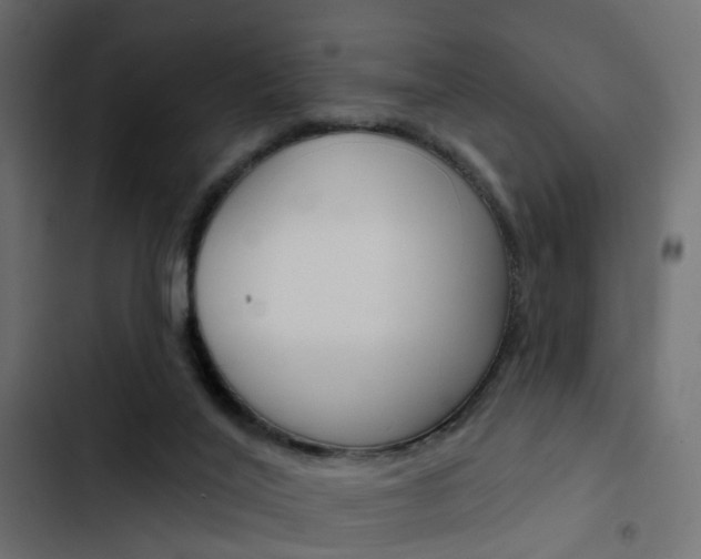 X0000103910020200809191130