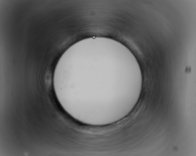 X0000103910021200809191130