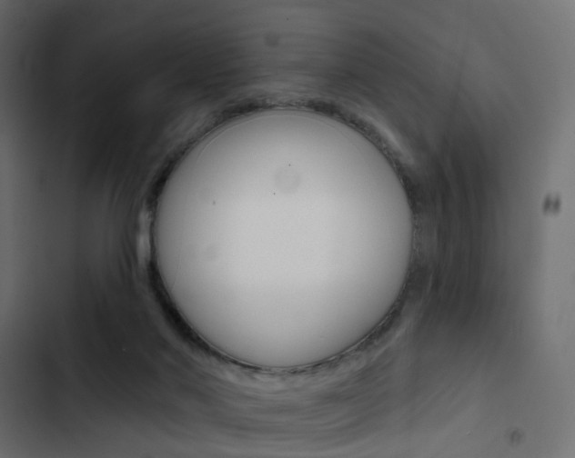 X0000103910022200809191130