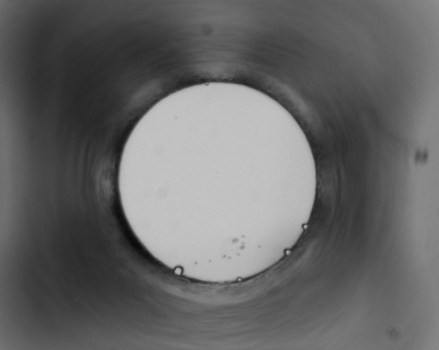 X0000103910023200809191130