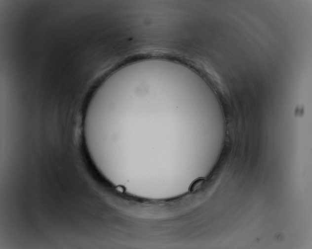 X0000103910024200809191130