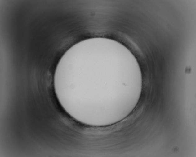 X0000103910025200809191130