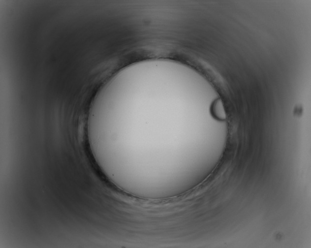 X0000103910026200809191130