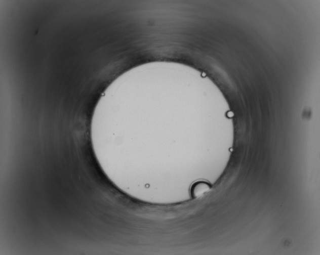 X0000103910029200809191130