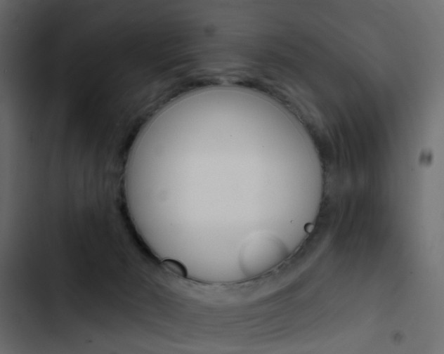 X0000103910030200809191130
