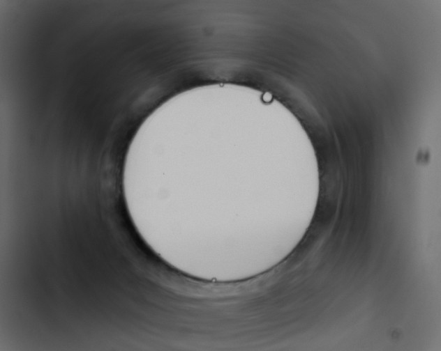 X0000103910031200809191129