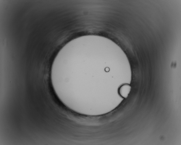 X0000103910032200809191129