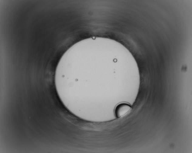 X0000103910033200809191129