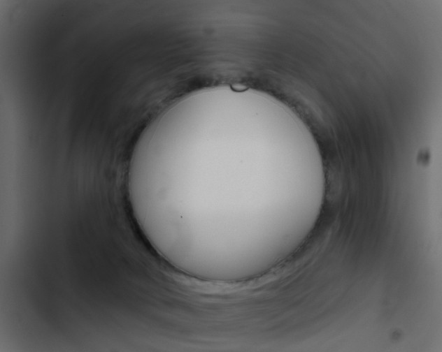 X0000103910034200809191129