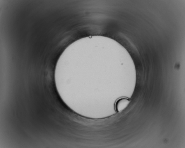 X0000103910035200809191129