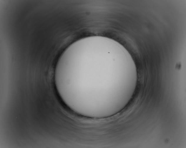 X0000103910036200809191129