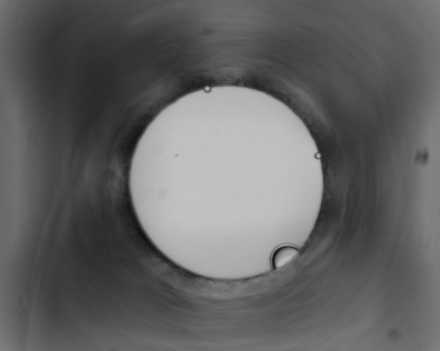 X0000103910037200809191129