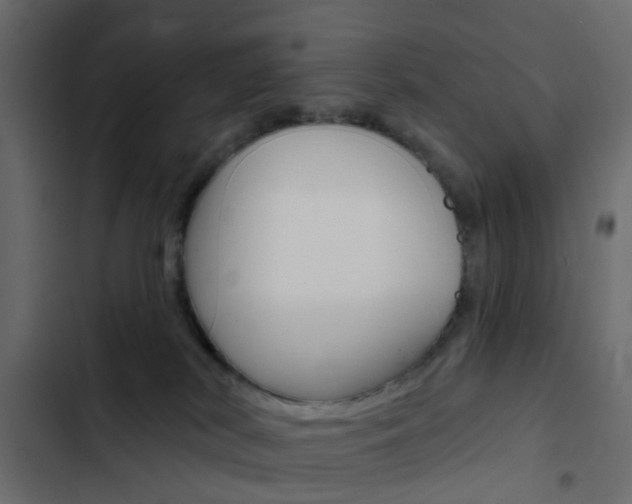 X0000103910038200809191129