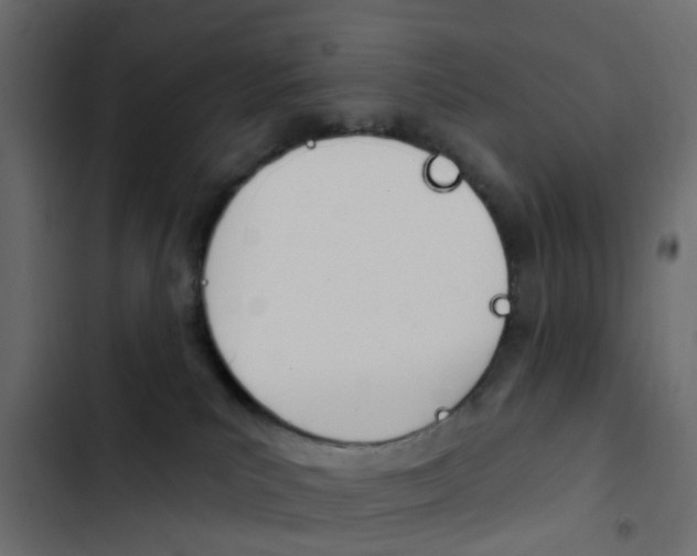 X0000103910039200809191129