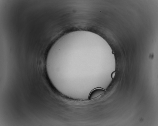 X0000103910040200809191129