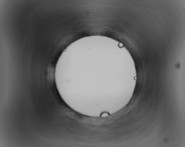 X0000103910041200809191129