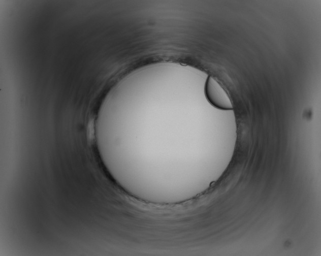 X0000103910042200809191129