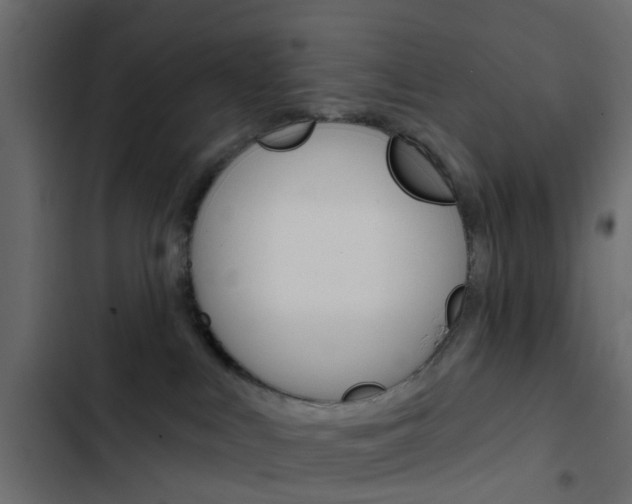 X0000103910043200809191129