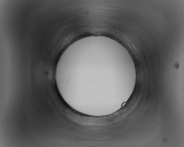 X0000103910044200809191129