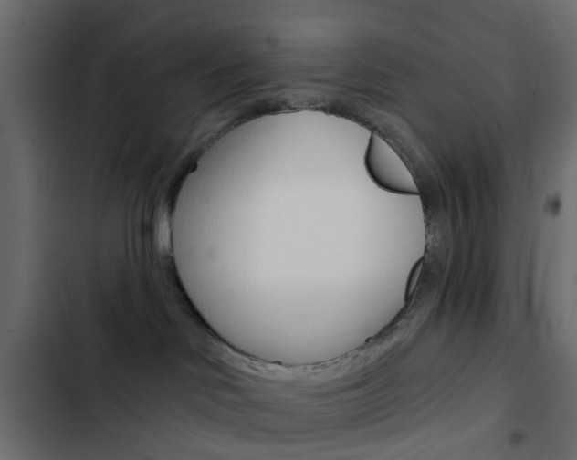 X0000103910046200809191129