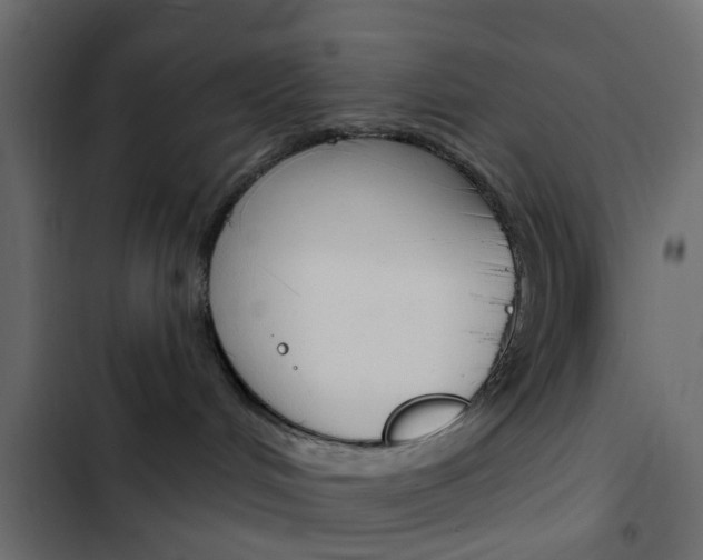 X0000103910048200809191129