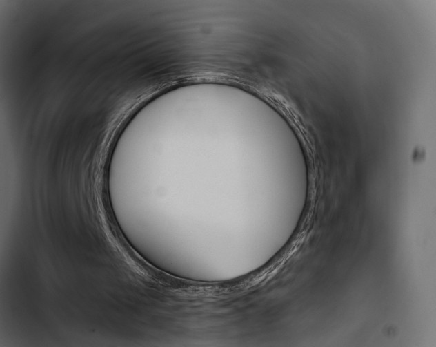 X0000103910049200809191128