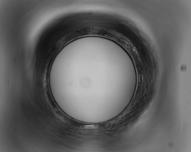 X0000103910050200809191128