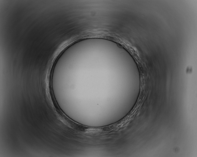 X0000103910051200809191128