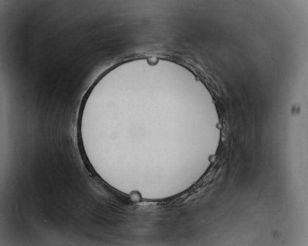 X0000103910052200809191128