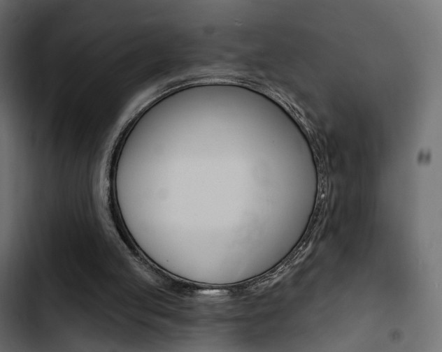 X0000103910053200809191128