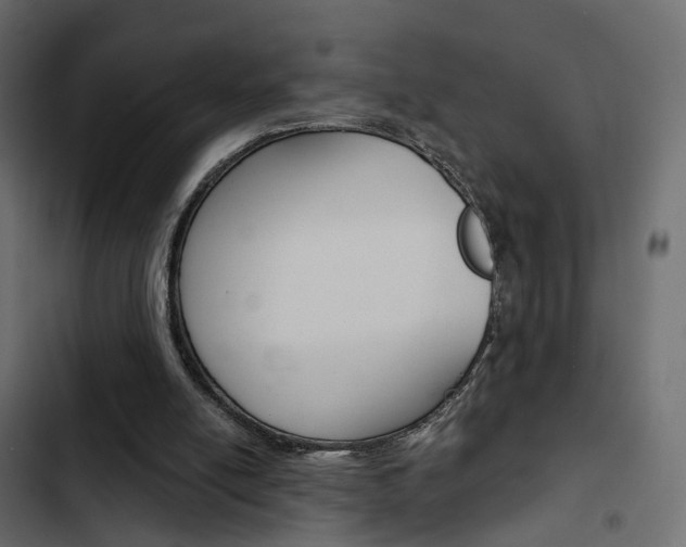 X0000103910054200809191128