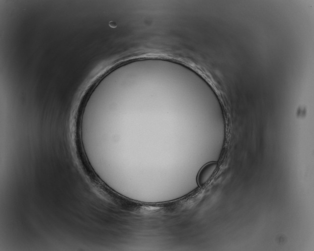 X0000103910055200809191129