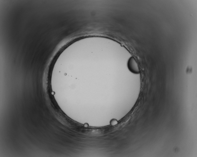 X0000103910056200809191129