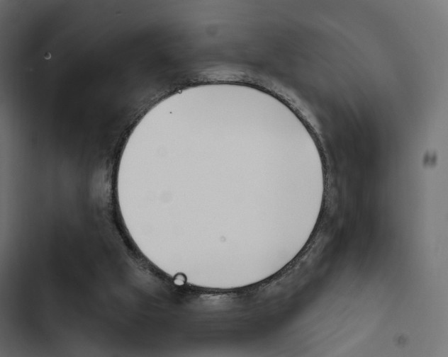 X0000103910057200809191129