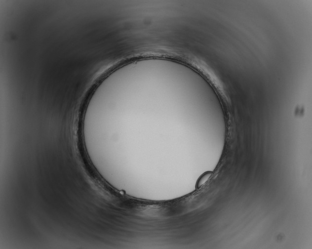 X0000103910058200809191129